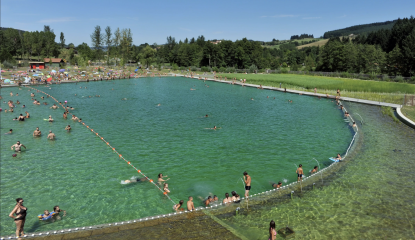 Lac des sapins